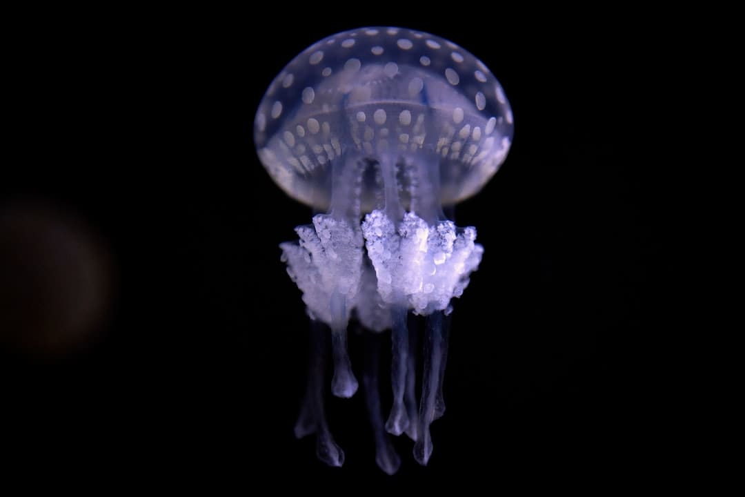 漳浦：告别排长龙 “潮汐窗口”高效灵活